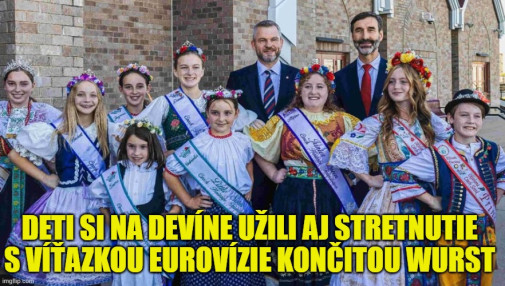 Príspevok 225534